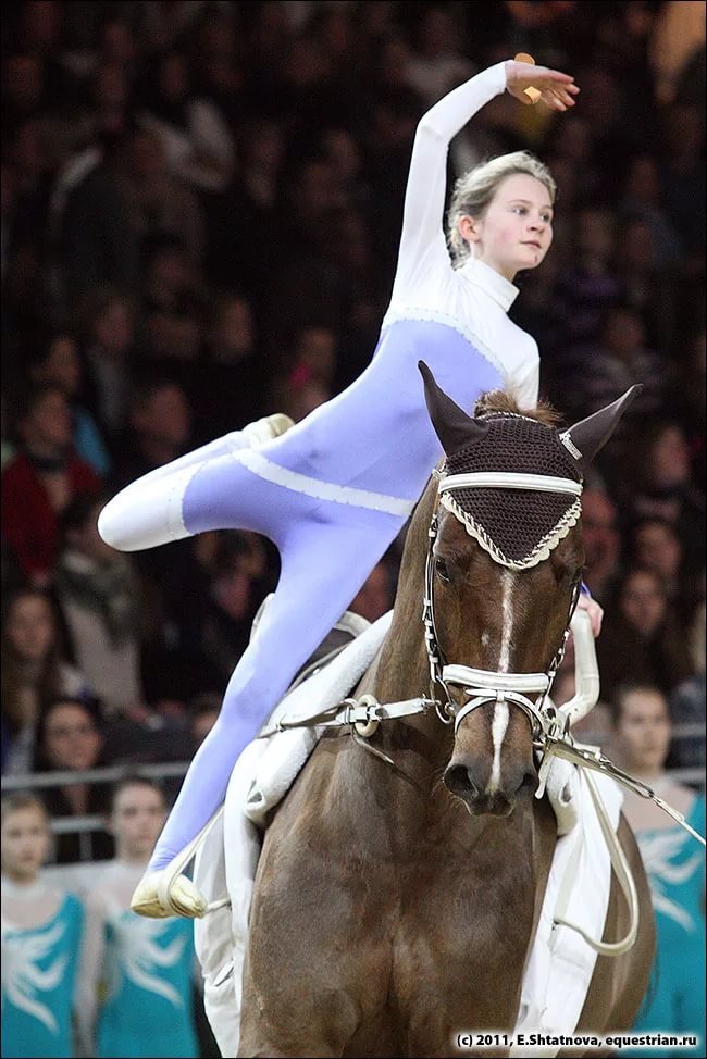 Конный спорт вольтижировка